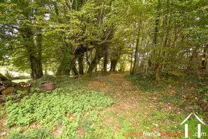 House for sale st germain les belles, limousin, Li792 Image - 25
